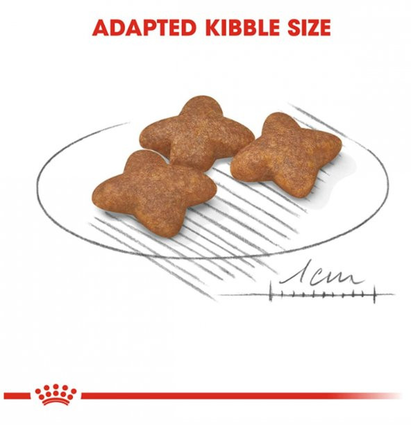 Royal Canin Mini Adult Küçük Irk Yetişkin Kuru Köpek Maması 4 Kg - Resim 5