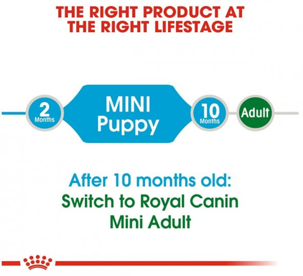 Royal Canin Mini Junior Küçük Irk Yavru Kuru Köpek Maması 4 Kg - Resim 4