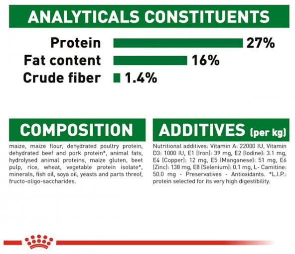 Royal Canin Mini Adult Küçük Irk Yetişkin Kuru Köpek Maması 2 Kg - Resim 4