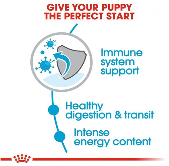 Royal Canin X-Small Junior Minik Irk Yavru Köpek Maması 1,5 Kg - 4