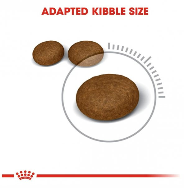 Royal Canin Hair Skin Hassas Tüy Sağlığı Kedi Maması 4 Kg - 6