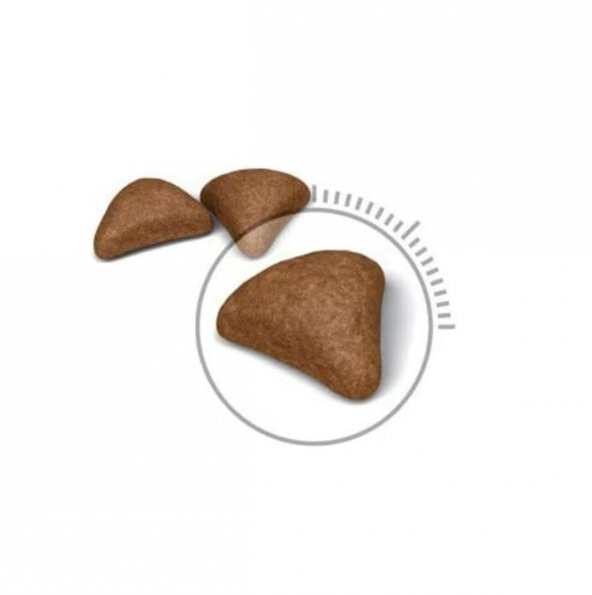 Royal Canin Hairball Uzun Tüylü Yetişkin Kuru Kedi Maması 2 Kg - 3