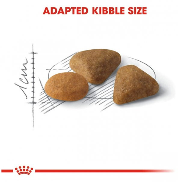 Royal Canin Exigent Seçici Kediler İçin Yetişkin Kedi Maması 2 Kg - 6