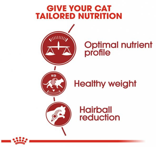 Royal Canin Fit 32 Yetişkin Kuru Kedi Maması 4 Kg - 2