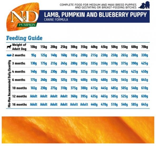 N&D Pumpkin Kuzu&Yaban Mersini Orta Büyük Irk Yavru Köpek 2,5 Kg - Resim 5