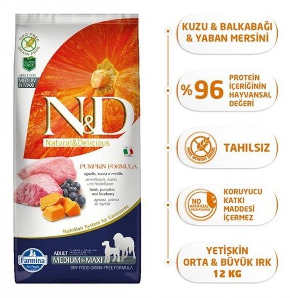 N&D Pumpkin Kuzu&Yaban Mersini Orta Büyük Irk Köpek Maması 12 Kg - 2