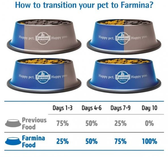 N&D Pumpkin Kuzu&Yaban Mersini Orta Büyük Irk Köpek Maması 12 Kg - 4