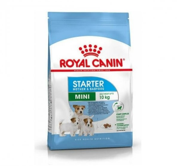 Royal Canin Mini Starter Yavru&Anne Köpek Maması 4 Kg ürün görseli