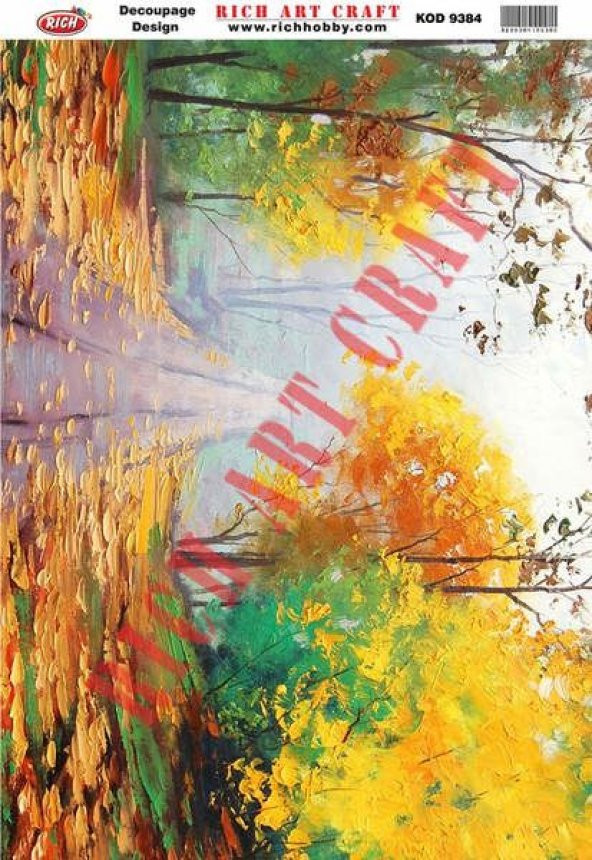 Rich Dekopaj Kağıdı 33x48 cm. 9384