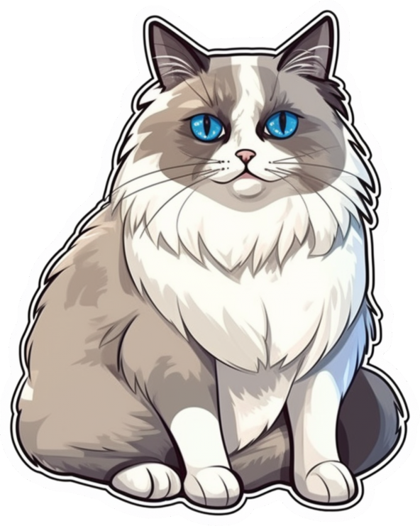 Sticker Master Ragdoll Cat Kedi Kedi Motorsiklet, Kask,Laptop Ve Araç Sticker Etiket 12x15 Cm ürün görseli