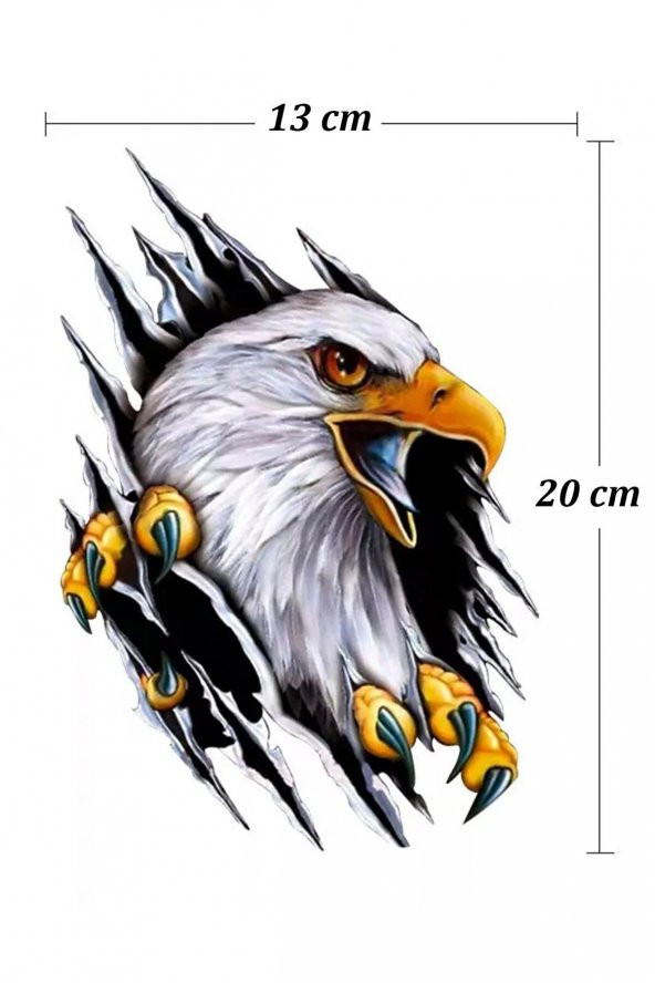Sticker Master Şahin Kartal Motorsiklet, Kask , Laptop Ve Araç Oto Sticker Etiket Çıkartma 20x13 Cm - 2