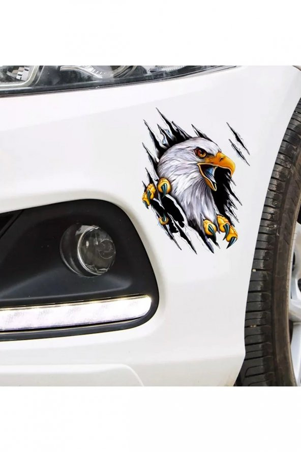 Sticker Master Şahin Kartal Motorsiklet, Kask , Laptop Ve Araç Oto Sticker Etiket Çıkartma 20x13 Cm - 3