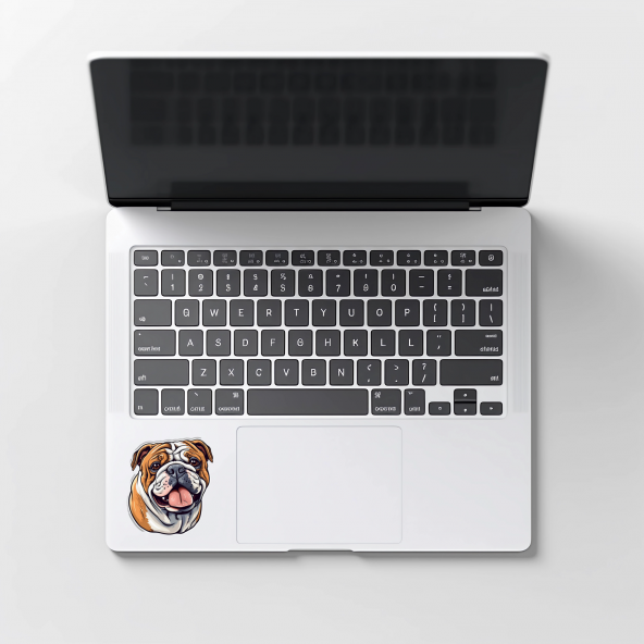 Sticker Master Bulldog Motorsiklet, Kask , Laptop Ve Araç Oto Sticker Etiket Çıkartma