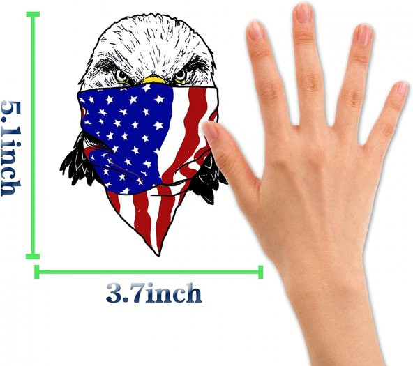 Sticker Master 2 Adet Komik Amerikan Eagle Çıkartmaları Motosiklet Dizüstü Kaykay Bisiklet - 2