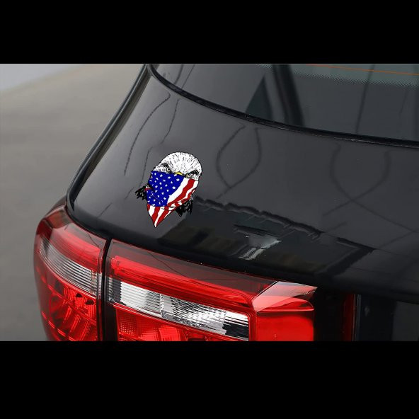 Sticker Master 2 Adet Komik Amerikan Eagle Çıkartmaları Motosiklet Dizüstü Kaykay Bisiklet - 3