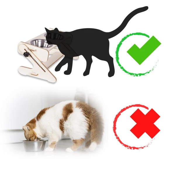 Pati Homes Kedi Mama ve Su Kabı - Yükseklik ve Açı Ayarlı - 5