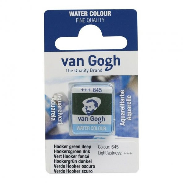 Talens Van Gogh 1/2 Tablet Sulu Boya 644 Hooker Green Light