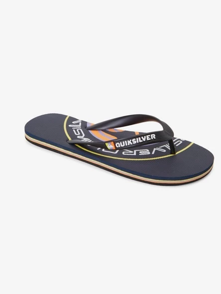 Quiksilver Desenli Erkek Parmak Arası Terlik AQYL101264
