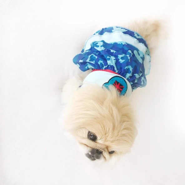 TEDDY BLUE KÖPEK ELBİSESİ  by Kemique  Köpek Kıyafeti - 5
