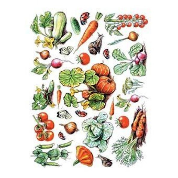 Cadence Pirinç Dekopaj Kağıdı Model 25