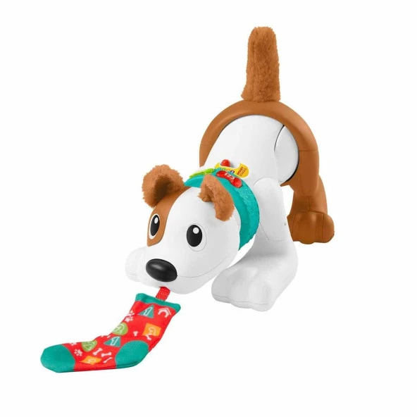 Fisher Price Emeklemeyi ve Saymayı Öğreten Köpekçik - 2