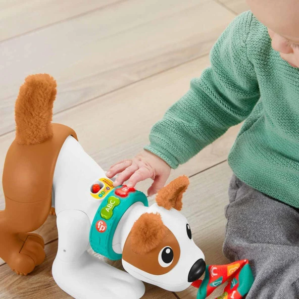 Fisher Price Emeklemeyi ve Saymayı Öğreten Köpekçik - 5