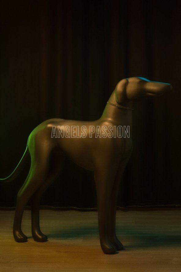 Lisinya41 Karanlıkta Yansıma Yapan Özel Tasarım Köpek Tasması - NPD008