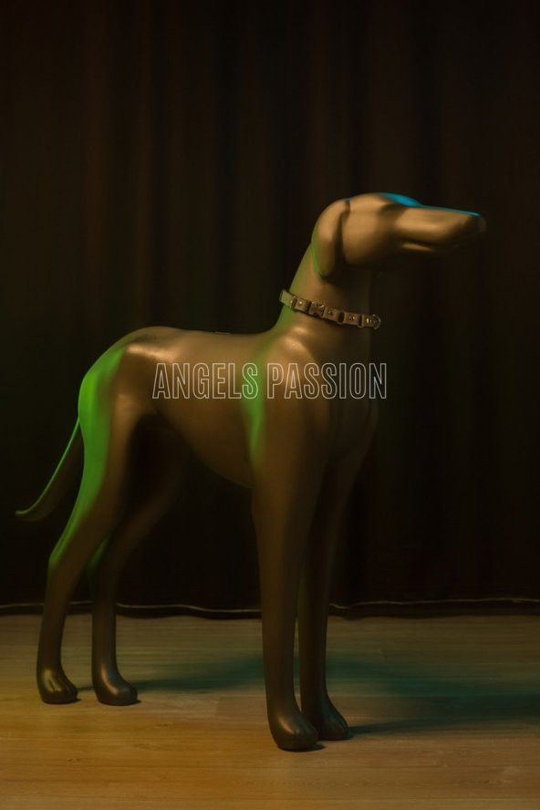 Lisinya41 Beyaz Reflektörlü Köpek Tasması, Karanlıkta Parlayan Özel Köpek Tasma - NPD001