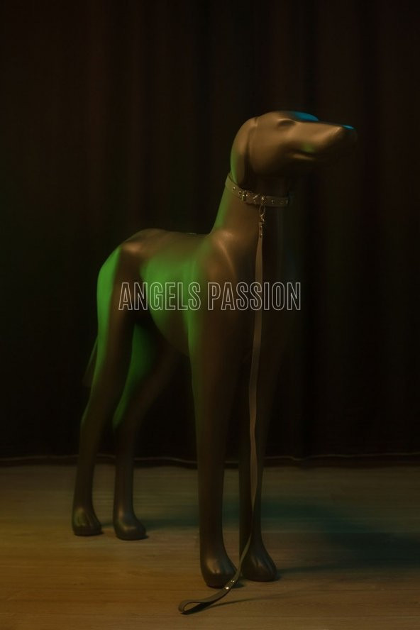 Lisinya41 Reflektörlü Köpek Gezdirme Tasması, Karanlıkta Parlayan Pet Tasma - NPD003