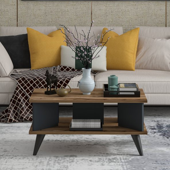 MOBİLYA GEZEGENİ Galipol Orta Sehpa 80 Cm Çırağan - Antrasit ürün görseli 1