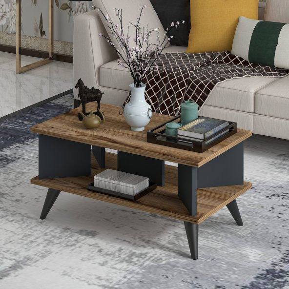 MOBİLYA GEZEGENİ Galipol Orta Sehpa 80 Cm Çırağan - Antrasit - Resim 2