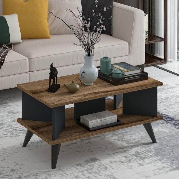 MOBİLYA GEZEGENİ Galipol Orta Sehpa 80 Cm Çırağan - Antrasit - Resim 3