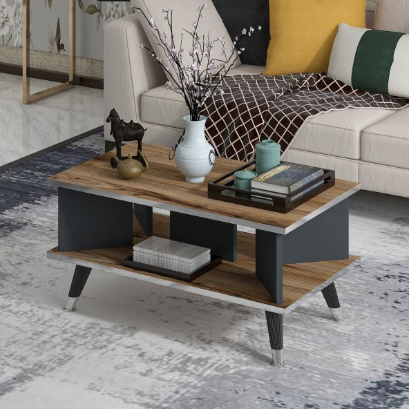 MOBİLYA GEZEGENİ Galipol Orta Sehpa 80 Cm Çırağan - Antrasit - Gümüş - 3