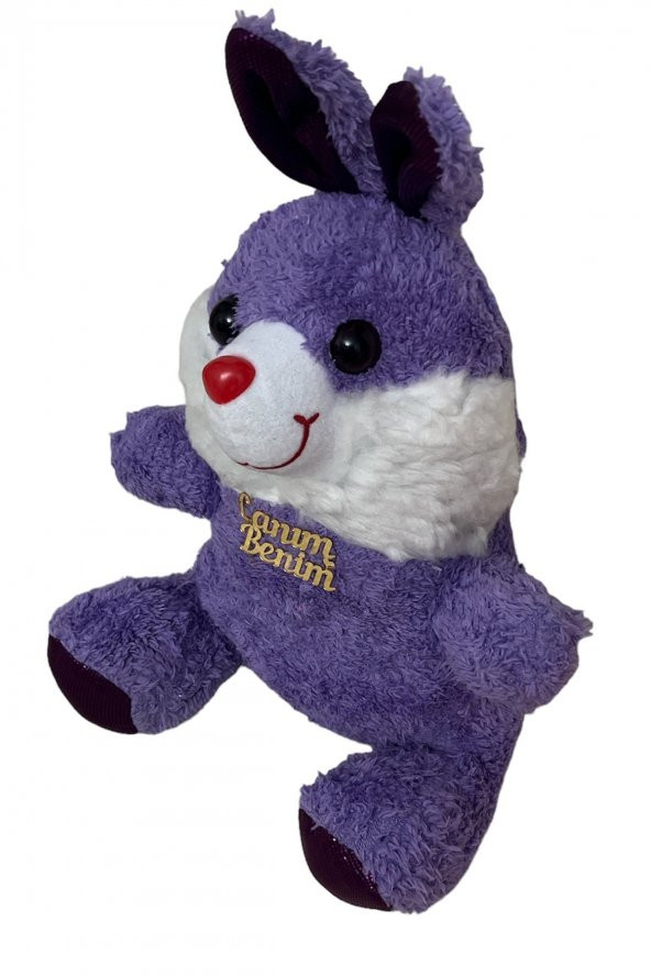 Emach Dizayn Peluş Tavşan 35 CM Uyku Arkadaşım - 2