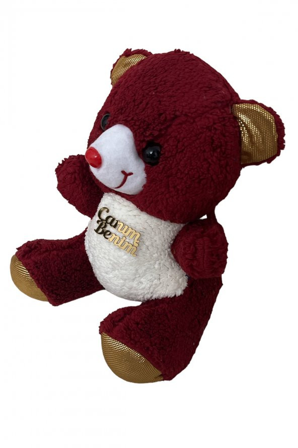 Emach Dizayn Peluş Ayı 35 CM Uyku Arkadaşım - 2