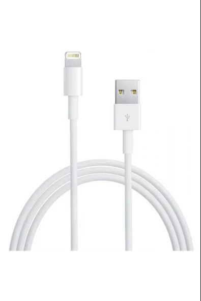 Apple Lighting USB Şarj Kablosu 1M