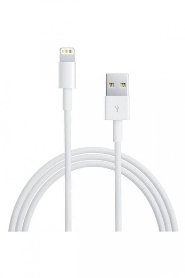 Apple Lighting USB Şarj Kablosu 2M