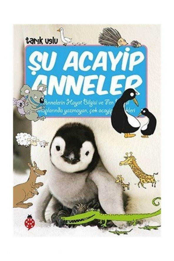 Şu Acayip Anneler /