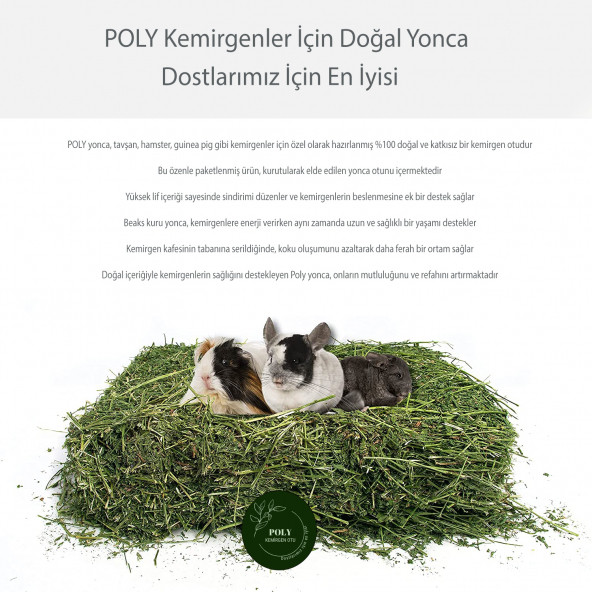 POLY Kemirgen DOĞAL KURU YONCA KEMİRGEN OTU-TAVŞAN-GİNEPİG-HAMSTER 1000 Gr - 3