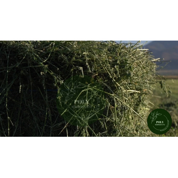 POLY Kemirgen DOĞAL KURU YONCA KEMİRGEN OTU-TAVŞAN-GİNEPİG-HAMSTER 1000 Gr - 5