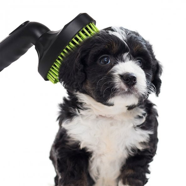 Süpürgeye Takılan Kedi Köpek Tarama - Tüy Alma Fırçası (3984)