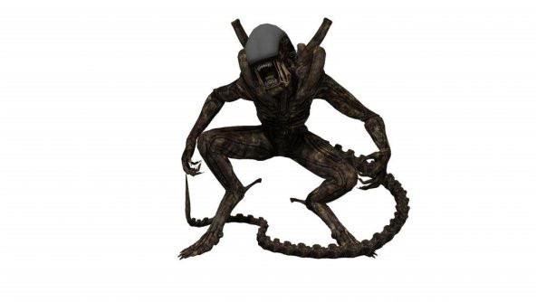 Xenomorph - Alien Warrior Drone Plastik Aparat - 6