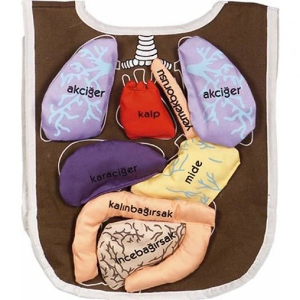 Anki Cırtlı Eğitici Organ Önlüğü And-5011 - 1