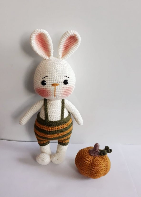 Tavşan Sunny ve Bal Kabağı Amigurumi Organik Oyuncak