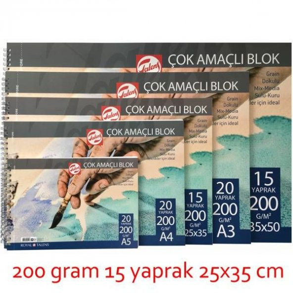 Talens Çok Amaçlı Resim Bloğu 200 gr 15 yp 25x35 cm