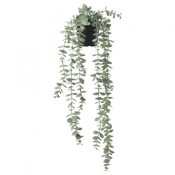 IKEA FEJKA yapay bitki, okaliptüs, 9 cm, iç/dış mekan