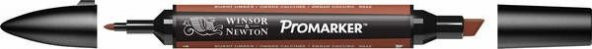 Winsor & Newton ProMarker Kalem Burnt Umber R646