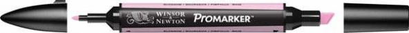 Winsor & Newton ProMarker Kalem Blossom M428