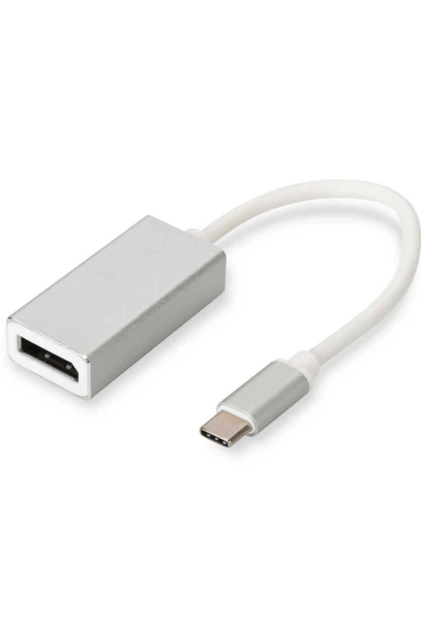 Display Port Alüminyum Kasa Dönüştürücü Usb 3.1 Type-c