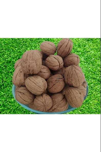 Ceviz 12222 Ince Kabuk Kolay Kırılır Chandler Kendi bahçemizden Doğal Üretim 5 Kg - 3